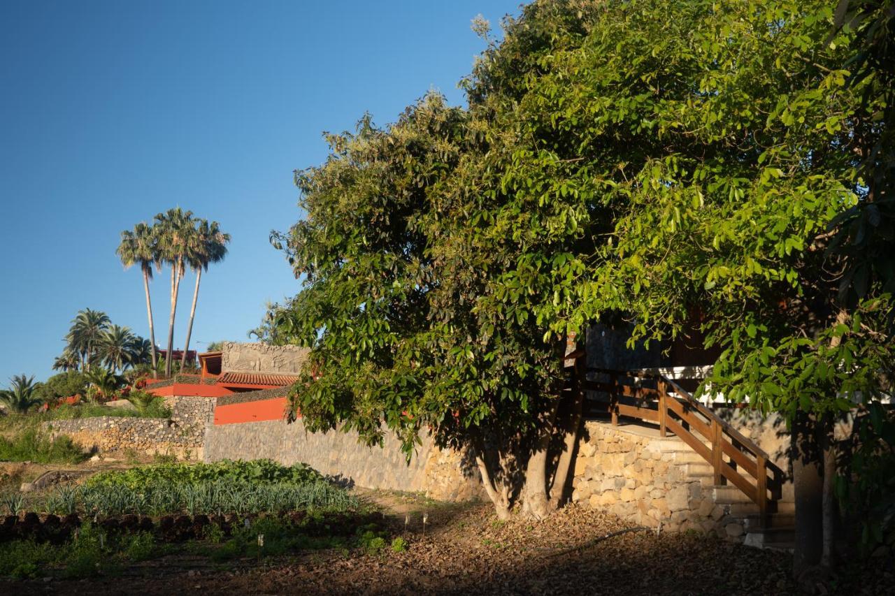 Finca Pico Los Realejos Eksteriør billede
