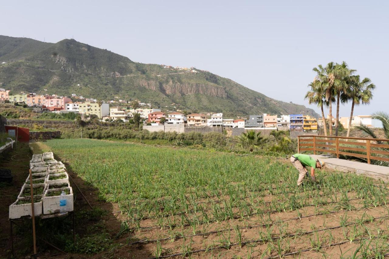 Finca Pico Los Realejos Eksteriør billede