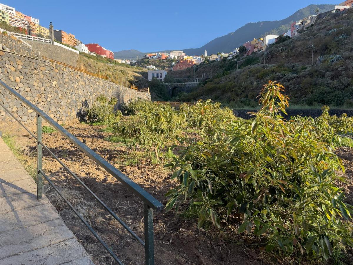 Finca Pico Los Realejos Eksteriør billede