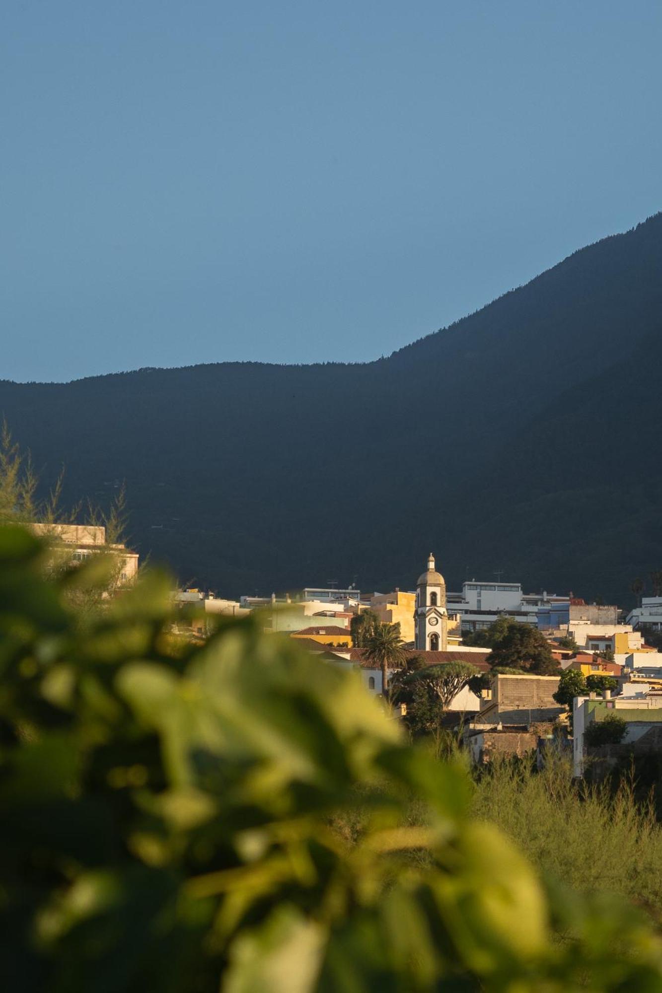 Finca Pico Los Realejos Eksteriør billede